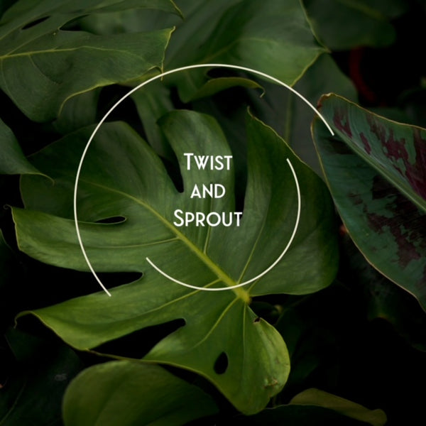 Twist and Sprout